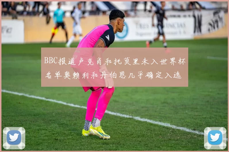 BBC报道卢克肖和托莫里未入世界杯名单奥赖利和丹伯恩几乎确定入选