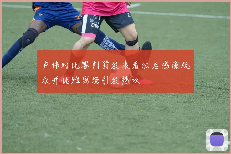 卢伟对比赛判罚发表看法后感谢观众并优雅离场引发热议